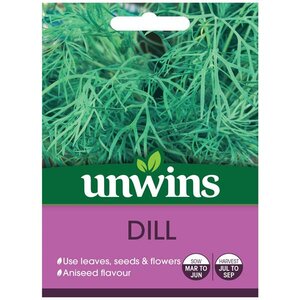Herb Dill Seeds