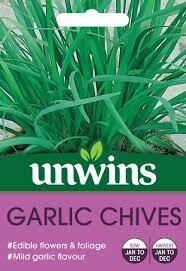 Herb Garlic Chives
