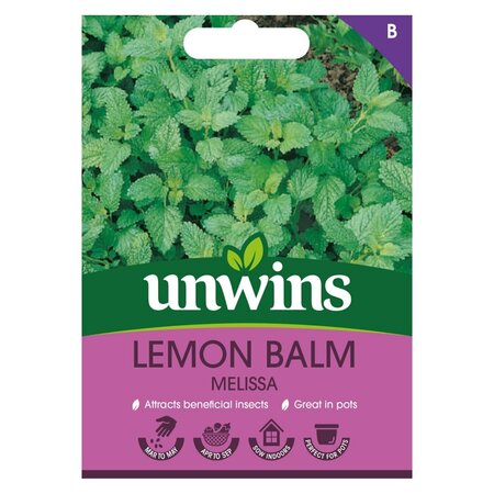 Herb Lemon Balm Melissa - image 1