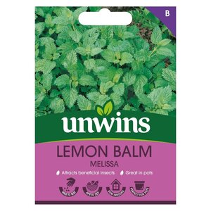 Herb Lemon Balm Melissa