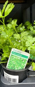 Herb Mix - image 2
