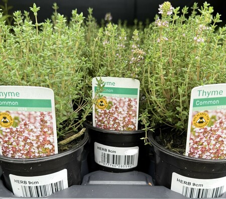 Herb Mix - image 4