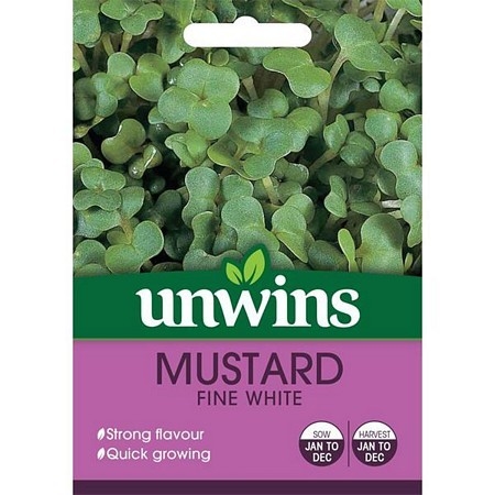 Herb Mustard Fine White