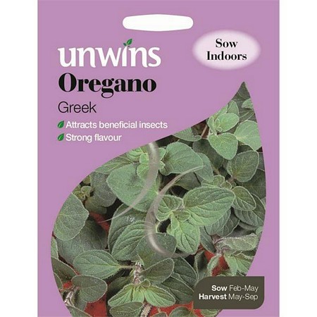 Herb Oregano Greek