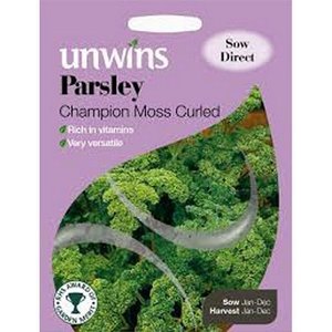 Herb Parsley Champion Moss Curled