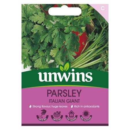 Herb Parsley Italian Giant (Organic) - image 1