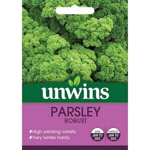 Herb Parsley Robust