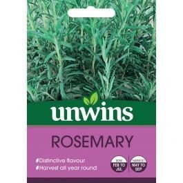 Herb Rosemary