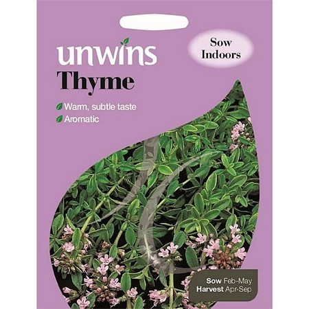 Herb Thyme