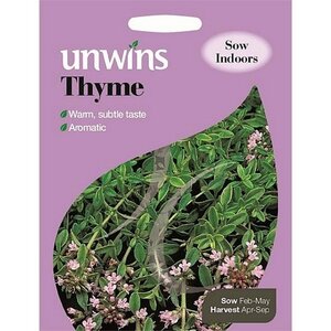 Herb Thyme