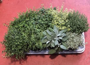 Herbs mix