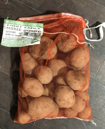 Home Guard First Earlies 2 kg Seed Potatoes
