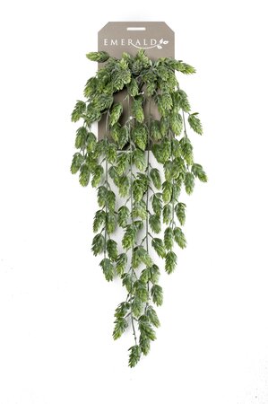 Hop hanging bush x6