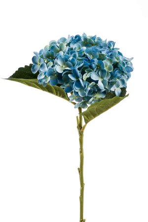 Hydrangea annabelle stem 52cm blue