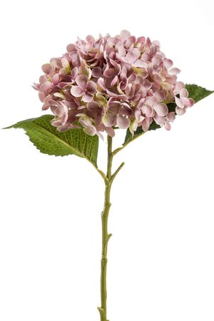 Hydrangea annabelle stem 52cm lt purple