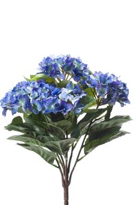 Hydrangea Bush x7 Dk.Blue 37cm
