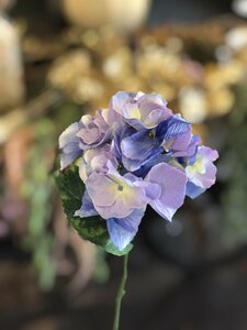 Hydrangea pick