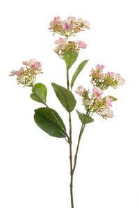 Hydrangea spray pink 75cm