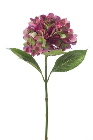 Hydrangea stem 67cm purple/green