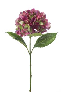 Hydrangea stem 67cm purple/green
