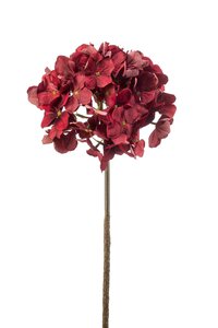 Hydrangea stem dry look deep red 62cm