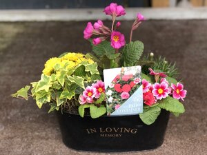 In Loving Memory Zinc Oval