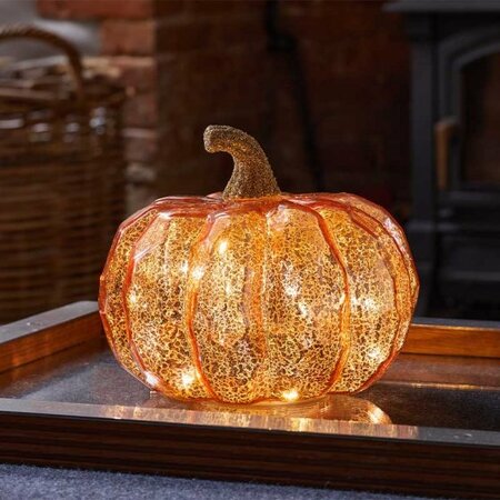 InLit Golden Squash