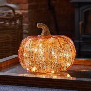 InLit Golden Squash