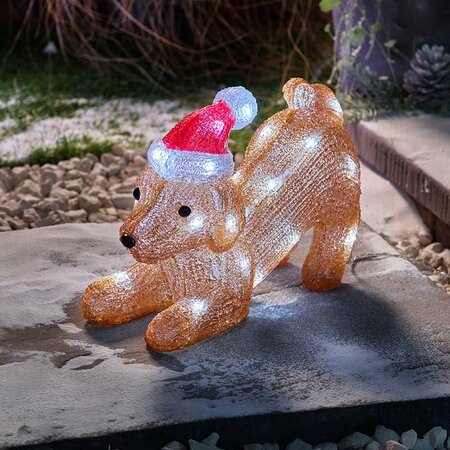 InLit Ice SantaPuppy Play!
