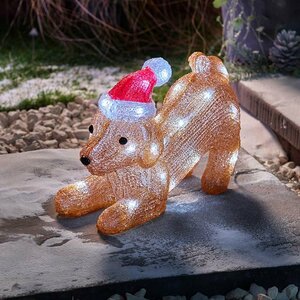 InLit Ice SantaPuppy Play!
