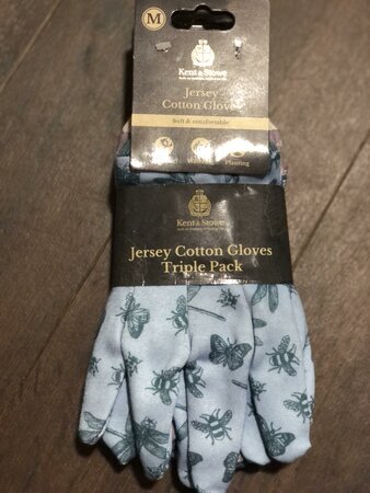 KS Jersey Cotton Flutterbugs Medium 3pk