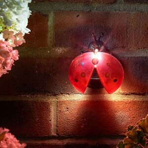 Lady Bug Light