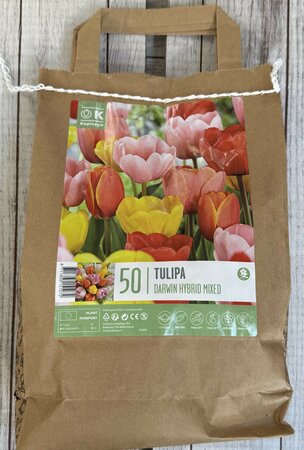 LANDSC BAG TUL DARWIN HYBRID MIX  x50