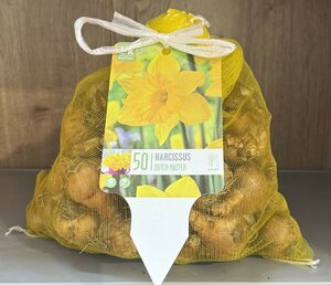 LANDSCAPE BAG NARCISSUS DUTCH MASTER x50