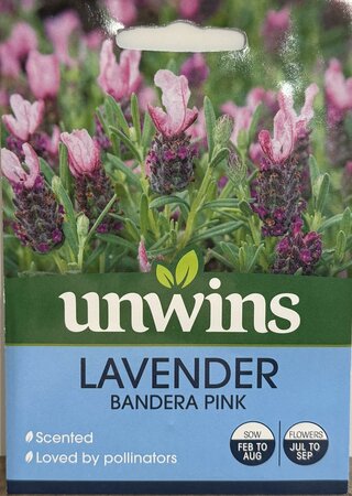 Lavender Bandera Deep Pink