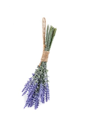 Lavender bundle blue 24cm