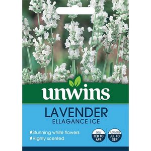 Lavender Ellagance Ice