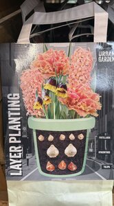 LAYER PLANTING ORANGE x25
