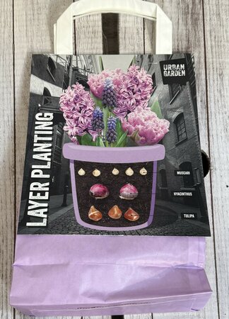 LAYER PLANTING PURPLE x25