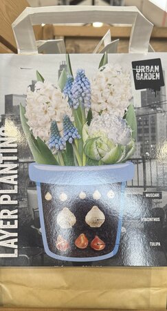 LAYER PLANTING WHITE x25