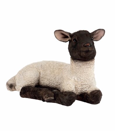 Laying Lamb