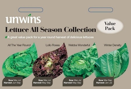 Lettuce All Season CollectionPack