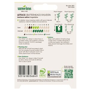 Lettuce (Butterhead) Sylvesta Organic - image 2