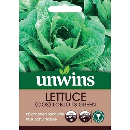 Lettuce (Cos) Lobjoits Green