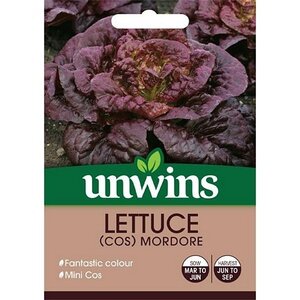 Lettuce (Cos) Mordore