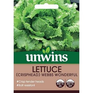 Lettuce (Crisphead) Webbs Wonderful