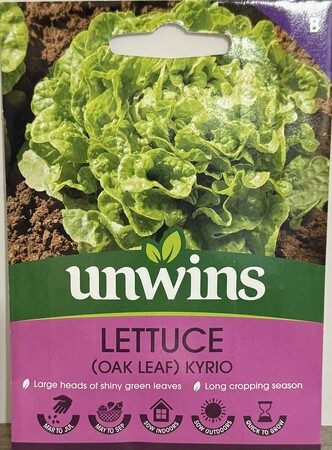 Lettuce Kyrio (Oak Leaf Green)Vegetable