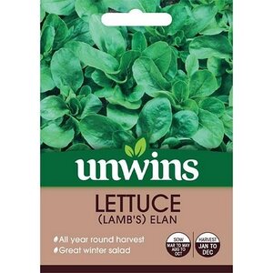 Lettuce (Leaves) (Lamb's) Elan