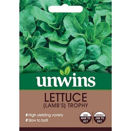 Salad Leaf Lamb's Trophy