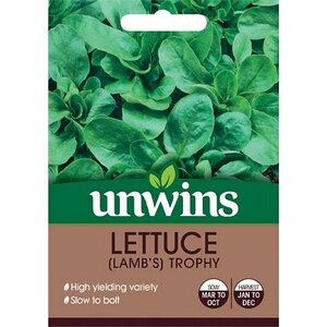 Salad Leaf Lamb's Trophy